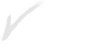 vidogi-salon Logo